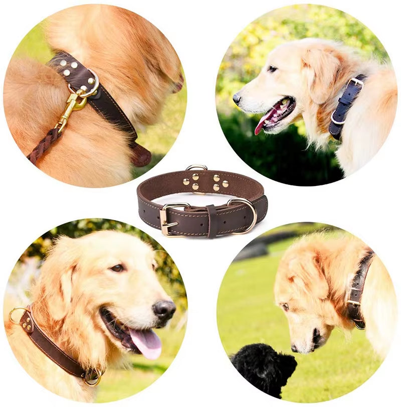 Benepaw Genuine Leather Dog Collar – Heavy-Duty Vintage Double D-Ring