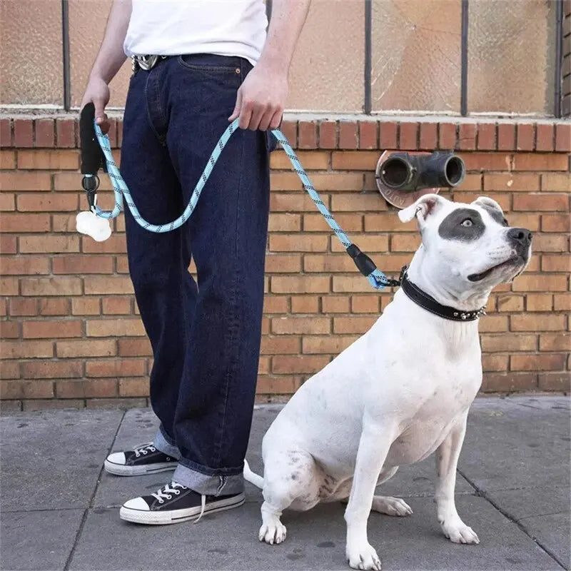 ComfortGrip Reflective Dog Leash – Padded Handle Design