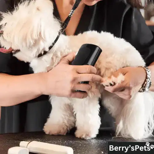 VetGroom Professional Massage Brush – Blood Circulation Enhancer