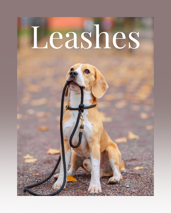 Leashes