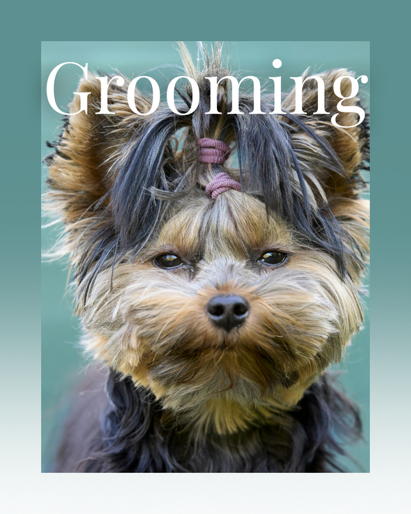 Grooming